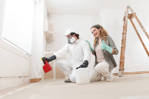 Reliable Mcrae Helena, GA Mold Removal Solutions